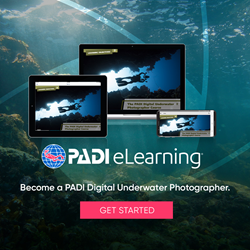 Digital Underwater Photographer Elearning